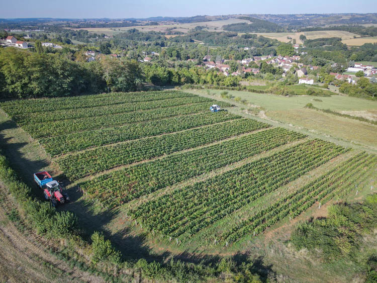 Étude des sols Dennevy